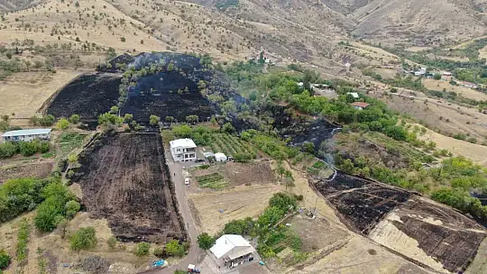 Elazığ'da 200 dönüm alan yangında kül oldu