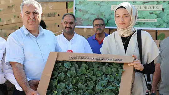 Elazığ'da 42 üreticiye fide dağıtıldı