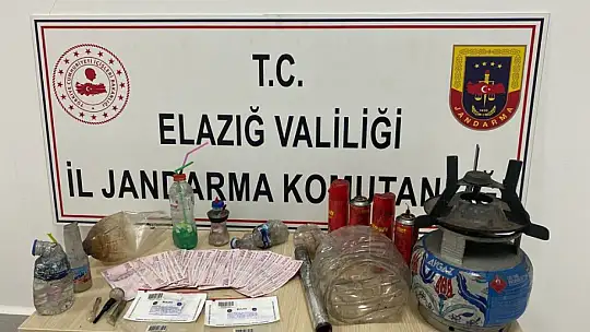 Elazığ'da 7 hırsızlık olayına karışan 2 kişi yakalandı
