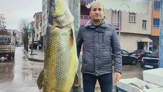 Elazığ'da ağa takılan yaklaşık 2 metrelik dev turna şaşırttı: tam 28 yaşında