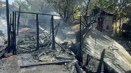 Elazığ'da ahır ve kümes yangını: 15 keçi, 29 tavuk telef oldu
