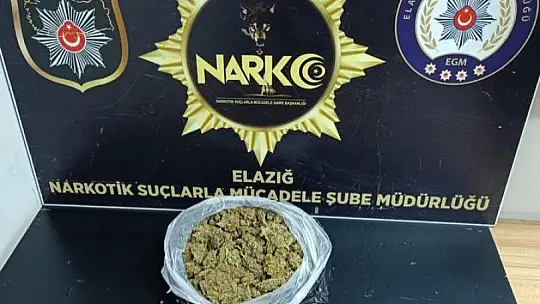 Elazığ'da asayiş uygulamasında aranan 10 şahıs yakalandı