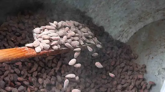 Elazığ'da bademin badem şekerine yolculuğu başladı