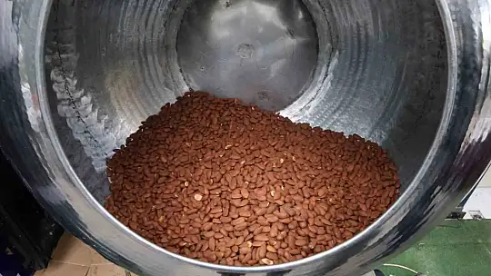Elazığ'da bademin badem şekerine yolculuğu başladı