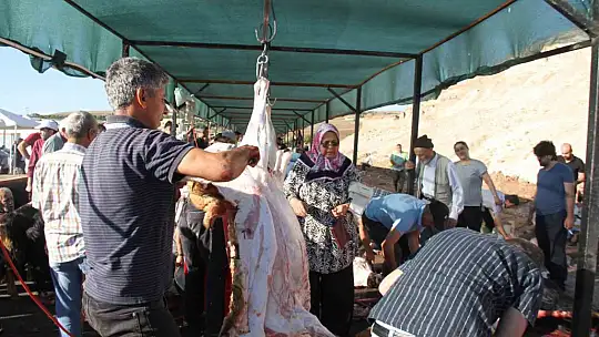 Elazığ'da bayram namazından çıkan vatandaşlar, kurbanlarını kesti