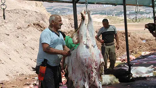 Elazığ'da bayramın üçüncü gününde kurban kesimleri devam etti