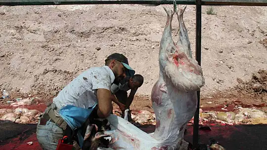 Elazığ'da bayramın üçüncü gününde kurban kesimleri devam etti
