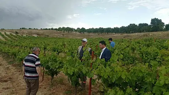 Elazığ'da çiftçiler keneye karşı bilgilendirildi