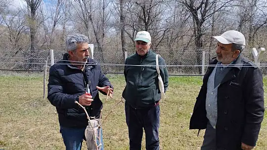Elazığ'da çiftçilere bağ budama eğitimi
