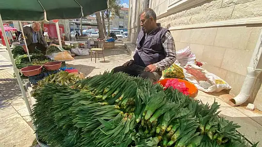 Elazığ'da çiriş otu tezgahlarda yerini aldı