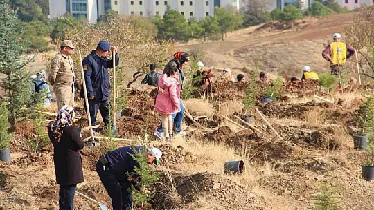 Elazığ'da Devlet Bahçeli Hatıra Ormanı oluşturuldu