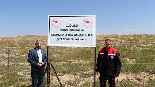 Elazığ'da dikimi yapılan 'Amerikan Tuz Çalısı' başarılı oldu
