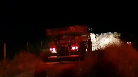 Elazığ'da düşen yıldırım otluk alanları yaktı