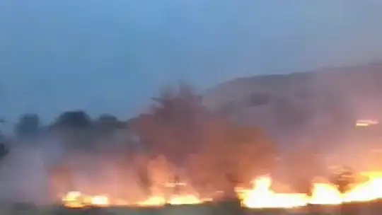 Elazığ'da düşen yıldırım otluk alanları yaktı