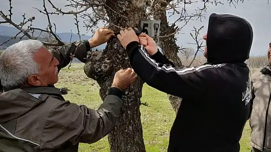 Elazığ'da fotokapanların bakımı yapıldı