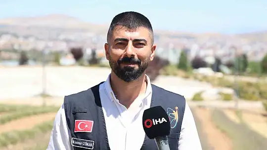 Elazığ'da gençlerden lavanta yatırımı: 3 yılda 1,5 ton hasat başarısı