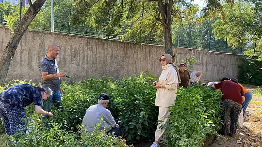 Elazığ'da hastalar için hobi bahçesinde etkinlik düzenlendi