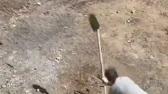 Elazığ'da işçiler tarafından etkisiz hale getirilen yılanın kafa kısmı kaçmaya devam etti