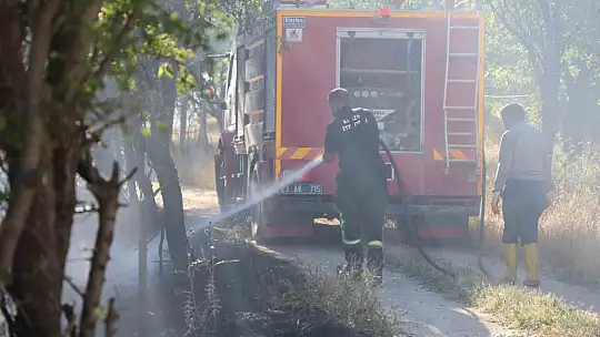 Elazığ'da itfaiye ekipleri bir günde 73 yangına müdahale etti