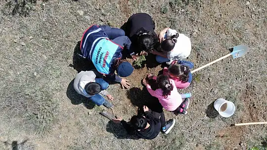 Elazığ'da jandarma ekipleri öğrencilerle birlikte fidan dikti