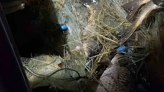 Elazığ'da kaçak avcılık denetimi: 4 bin metre ağ ele geçirildi