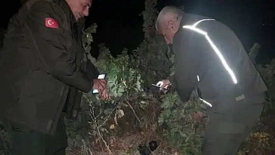 Elazığ'da kaçak avcılık denetimleri