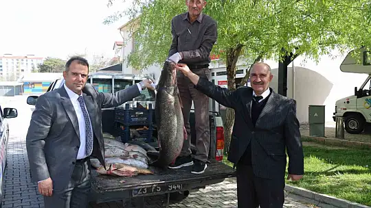 Elazığ'da kaçak avlanan 2,5 ton balık ele geçirildi