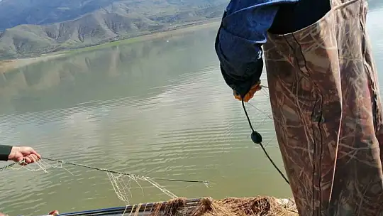 Elazığ'da kaçak avlandığı tespit edilen 100 kilo canlı balık ele geçirildi