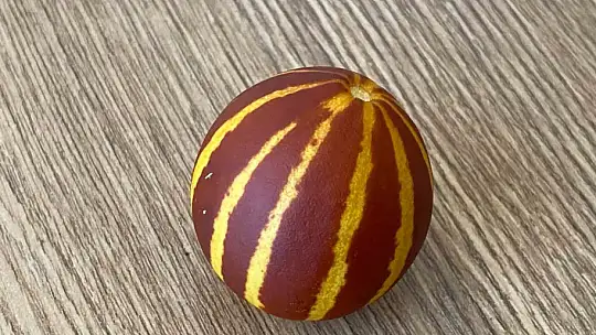 Elazığ'da kavunun küçüklüğü şaşırttı