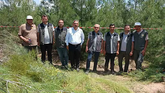 Elazığ'da kızılçam ormanlarında sıklık bakım çalışması yapıldı