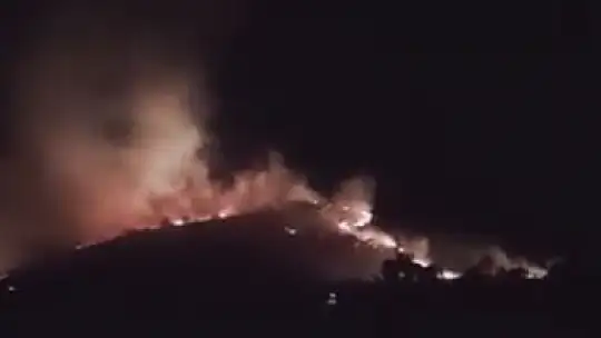 Elazığ'da korkutan orman yangını