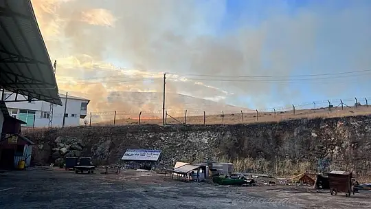 Elazığ'da korkutan yangın: Alevler büyük bir alana yayıldı