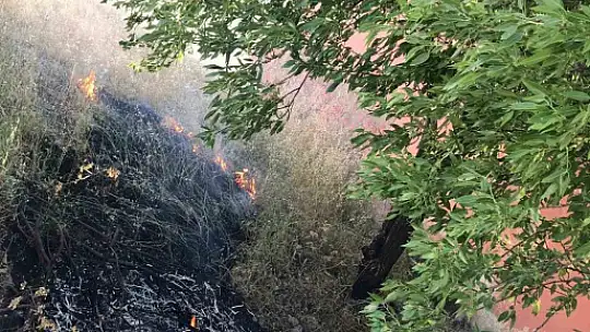 Elazığ'da korkutan yangın