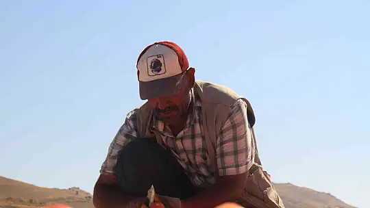 Elazığ'da mevsimlik işçilerin mesaisi devam ediyor