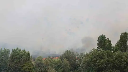 Elazığ'da orman yangını: Ekiplerin havadan ve karadan müdahalesi sürüyor