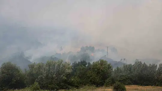 Elazığ'da orman yangını: Ekiplerin havadan ve karadan müdahalesi sürüyor