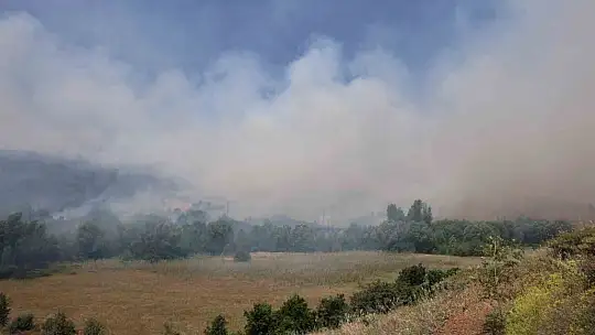 Elazığ'da orman yangını: Ekiplerin havadan ve karadan müdahalesi sürüyor