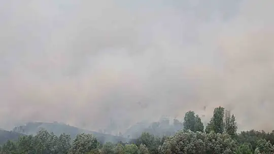 Elazığ'da orman yangını: Ekiplerin havadan ve karadan müdahalesi sürüyor