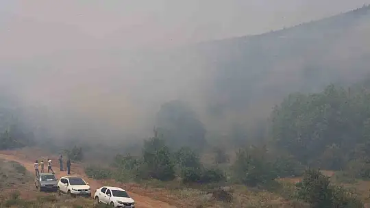 Elazığ'da orman yangını: Ekiplerin havadan ve karadan müdahalesi sürüyor