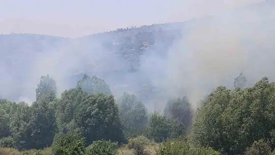 Elazığ'da orman yangını: Ekiplerin havadan ve karadan müdahalesi sürüyor