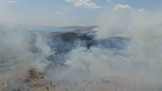 Elazığ'da orman yangını: Ekiplerin havadan ve karadan müdahalesi sürüyor