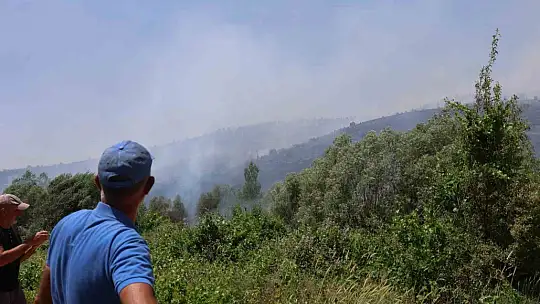 Elazığ'da orman yangını: Ekiplerin havadan ve karadan müdahalesi sürüyor