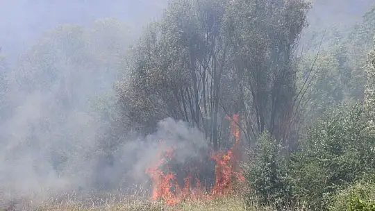 Elazığ'da orman yangını: Ekiplerin havadan ve karadan müdahalesi sürüyor