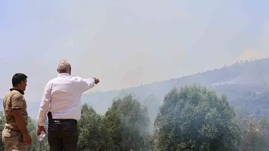 Elazığ'da orman yangını: Ekiplerin havadan ve karadan müdahalesi sürüyor
