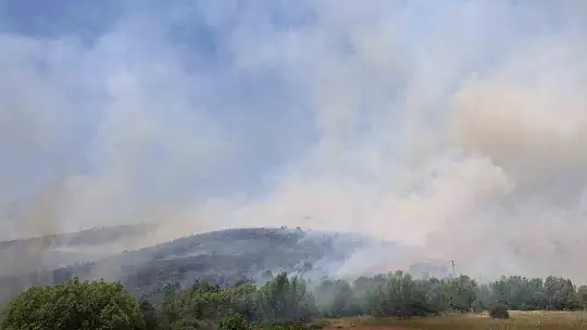 Elazığ'da orman yangını: Ekiplerin havadan ve karadan müdahalesi sürüyor
