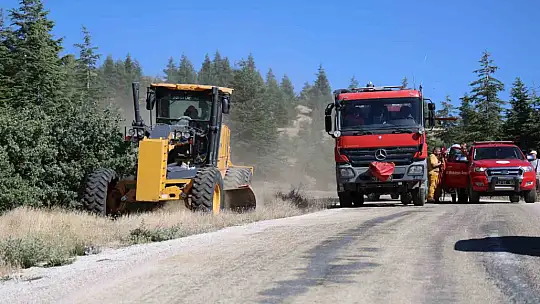 Elazığ'da ormanlık alanda yangın