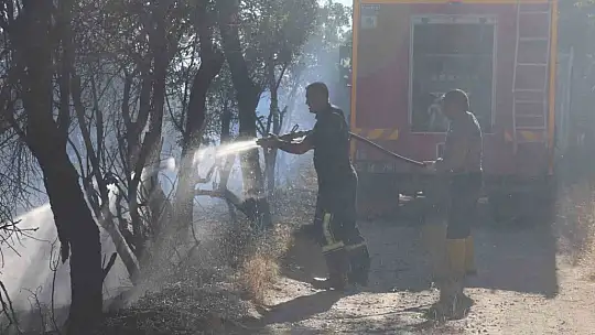 Elazığ'da örtü ve bahçe yangını