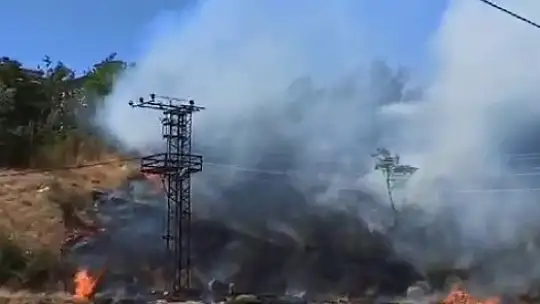 Elazığ'da otluk ve ağaçlık alanda çıkan yangınlar söndürüldü