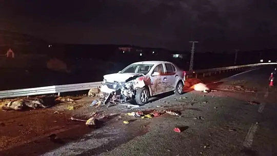 Elazığ'da otomobil koyun sürüsüne daldı: 2 yaralı