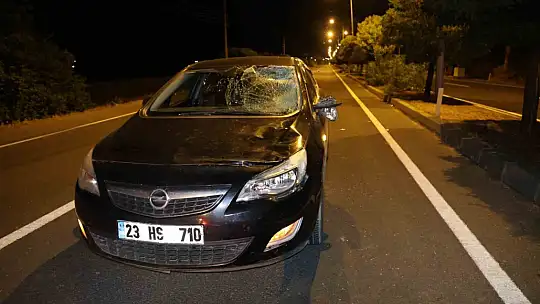 Elazığ'da otomobilin çarptığı kadın ağır yaralandı